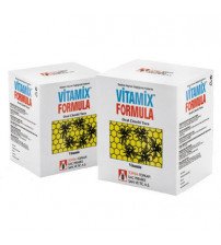 Vitamix Formula / Arı Vitamini
